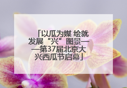 以瓜为媒 绘就发展“兴”图景——第37届北京大兴西瓜节启幕