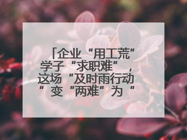 企业“用工荒”学子“求职难”，这场“及时雨行动”变“两难”为“双赢”
