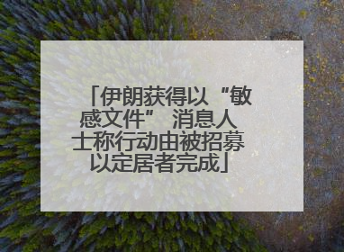 伊朗获得以“敏感文件” 消息人士称行动由被招募以定居者完成