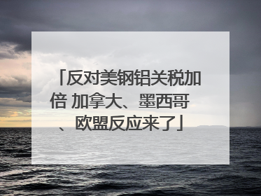 反对美钢铝关税加倍 加拿大、墨西哥、欧盟反应来了