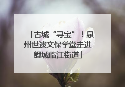 古城“寻宝”！泉州世遗文保学堂走进鲤城临江街道