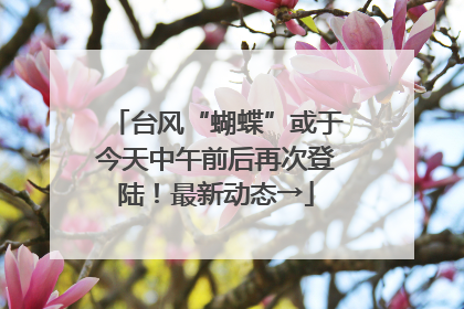 台风“蝴蝶”或于今天中午前后再次登陆！最新动态→