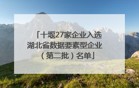 十堰27家企业入选湖北省数据要素型企业（第二批）名单