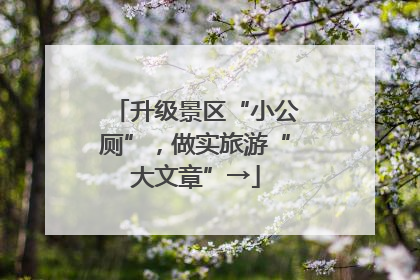 升级景区“小公厕”，做实旅游“大文章”→
