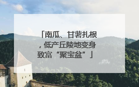 南瓜、甘薯扎根，低产丘陵地变身致富“聚宝盆”