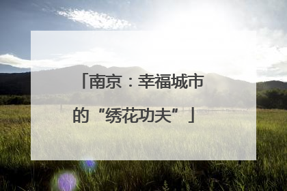 南京：幸福城市的“绣花功夫”