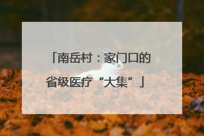 南岳村：家门口的省级医疗“大集”