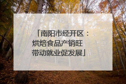 南阳市经开区：烘焙食品产销旺 带动就业促发展