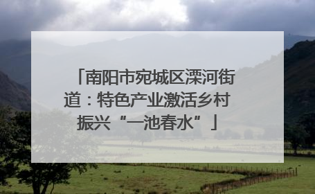 南阳市宛城区溧河街道：特色产业激活乡村振兴“一池春水”