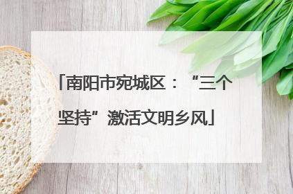 南阳市宛城区：“三个坚持”激活文明乡风