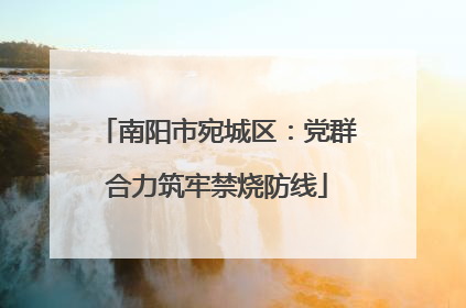 南阳市宛城区：党群合力筑牢禁烧防线