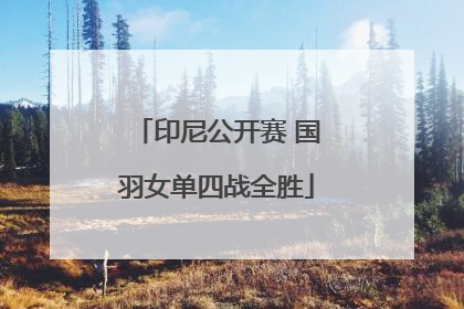 印尼公开赛 国羽女单四战全胜