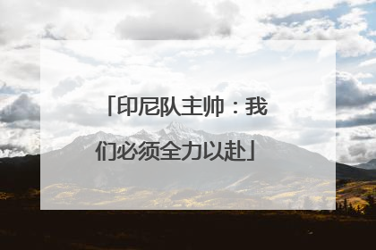 印尼队主帅：我们必须全力以赴