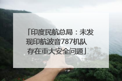 印度民航总局：未发现印航波音787机队存在重大安全问题