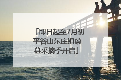 即日起至7月初 平谷山东庄镇桑葚采摘季开启