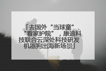 去国外“当球童”、“看家护院”，康迪科技联合云深处科技研发机器狗出海新场景