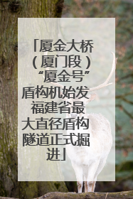 厦金大桥（厦门段）“厦金号”盾构机始发 福建省最大直径盾构隧道正式掘进