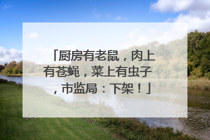 厨房有老鼠，肉上有苍蝇，菜上有虫子，市监局：下架！