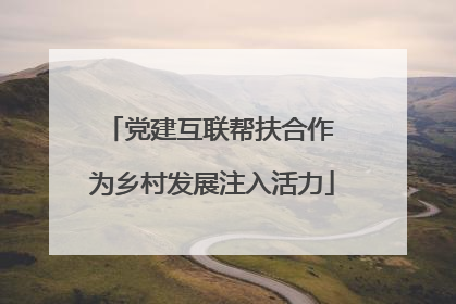 党建互联帮扶合作 为乡村发展注入活力