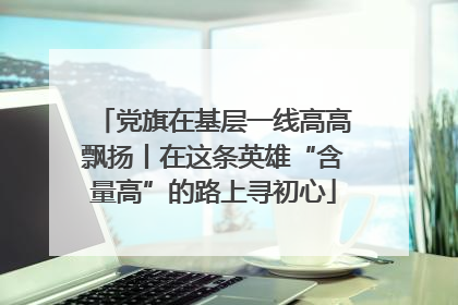 党旗在基层一线高高飘扬丨在这条英雄“含量高”的路上寻初心
