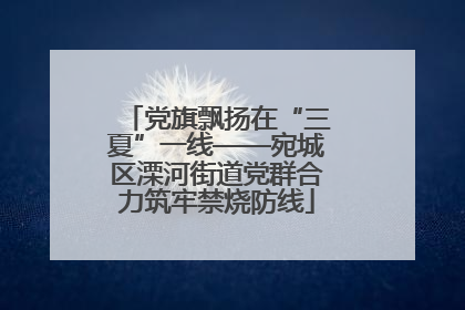 党旗飘扬在“三夏”一线——宛城区溧河街道党群合力筑牢禁烧防线