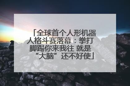 全球首个人形机器人格斗赛落幕：拳打脚踢你来我往 就是“大脑”还不好使