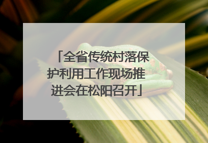 全省传统村落保护利用工作现场推进会在松阳召开