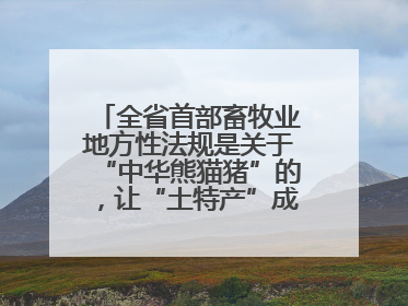 全省首部畜牧业地方性法规是关于“中华熊猫猪”的，让“土特产”成为“新国潮”，让“农产品”升格为“城市IP”