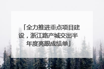 全力推进重点项目建设，浙江路产城交出半年度亮眼成绩单