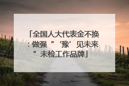 全国人大代表金不换：做强“‘豫’见未来”未检工作品牌