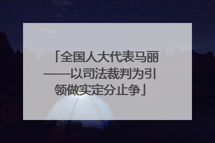 全国人大代表马丽——以司法裁判为引领做实定分止争