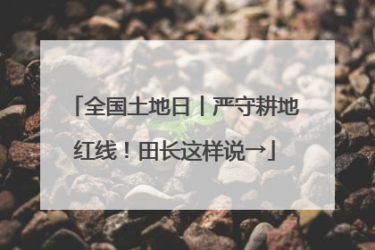 全国土地日丨严守耕地红线！田长这样说→