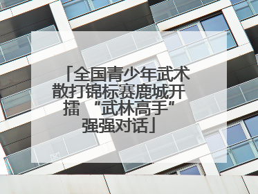 全国青少年武术散打锦标赛鹿城开擂 “武林高手”强强对话