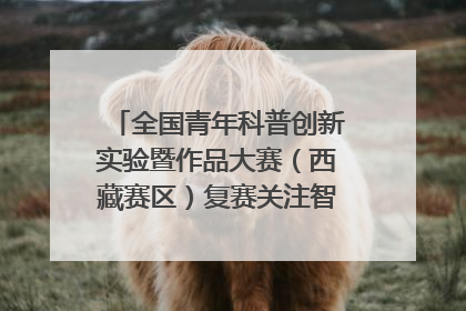全国青年科普创新实验暨作品大赛（西藏赛区）复赛关注智慧环保等主题