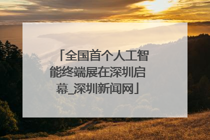 全国首个人工智能终端展在深圳启幕_深圳新闻网