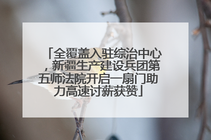 全覆盖入驻综治中心，新疆生产建设兵团第五师法院开启一扇门助力高速讨薪获赞