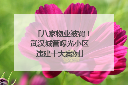 八家物业被罚！武汉城管曝光小区违建十大案例