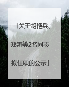 关于胡艳兵、郑涛等2名同志拟任职的公示
