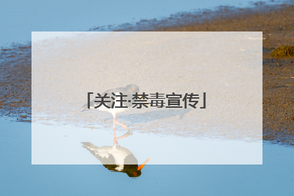 关注·禁毒宣传