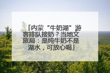 内蒙“牛奶湖”游客排队接奶？当地文旅局：是纯牛奶不是湖水，可放心喝