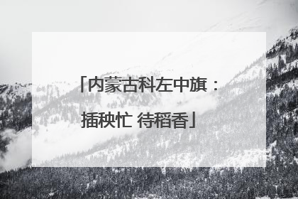 内蒙古科左中旗：插秧忙 待稻香