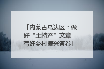 内蒙古乌达区：做好“土特产”文章 写好乡村振兴答卷