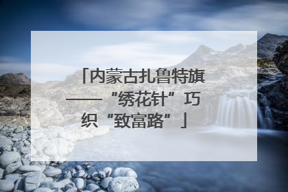 内蒙古扎鲁特旗——“绣花针”巧织“致富路”