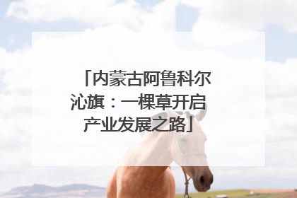 内蒙古阿鲁科尔沁旗：一棵草开启产业发展之路