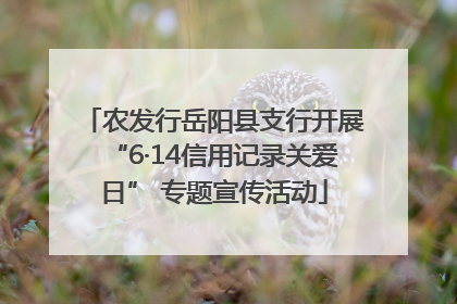 农发行岳阳县支行开展“6·14信用记录关爱日” 专题宣传活动
