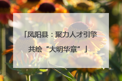 凤阳县：聚力人才引擎 共绘“大明华章”