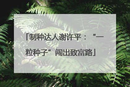 制种达人谢许平：“一粒种子”闯出致富路