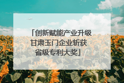 创新赋能产业升级 甘肃玉门企业斩获省级专利大奖