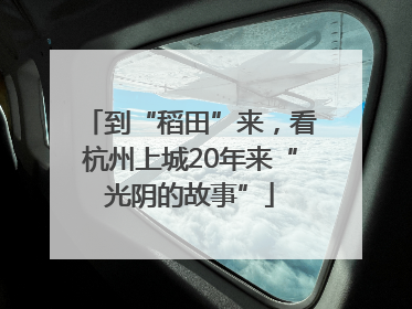 到“稻田”来，看杭州上城20年来“光阴的故事”