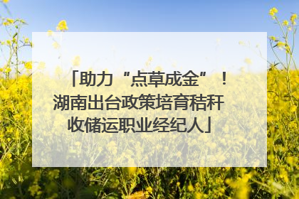 助力“点草成金”！湖南出台政策培育秸秆收储运职业经纪人